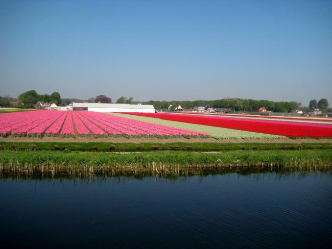 Name:  HDLLANDA LSSE 036.jpg
Views: 8532
Size:  33.3 KB