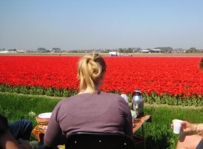 Name:  HDLLANDA LSSE 046.jpg
Views: 8243
Size:  44.7 KB