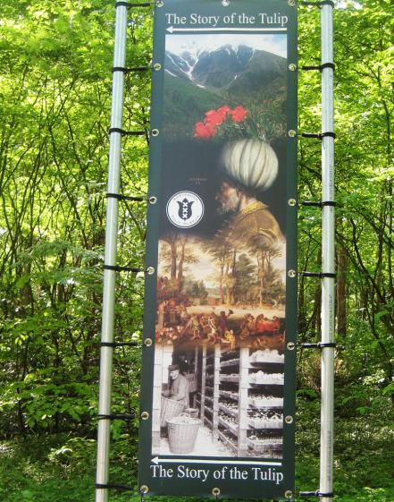 Name:  KEUKENKOF 067.jpg
Views: 7836
Size:  76.5 KB