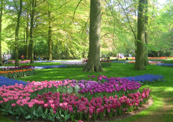 Name:  KEUKENKOF 036.jpg
Views: 8389
Size:  71.1 KB