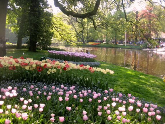 Name:  KEUKENKOF 039.jpg
Views: 7848
Size:  71.1 KB