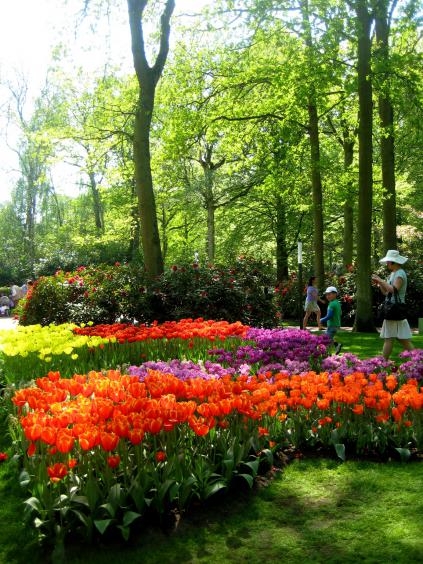 Name:  KEUKENKOF 224.jpg
Views: 7873
Size:  73.7 KB