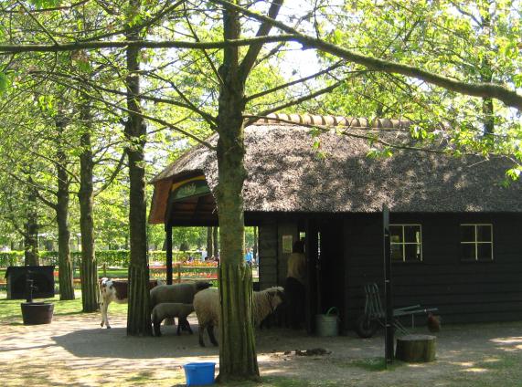 Name:  KEUKENKOF 157.jpg
Views: 7522
Size:  71.1 KB