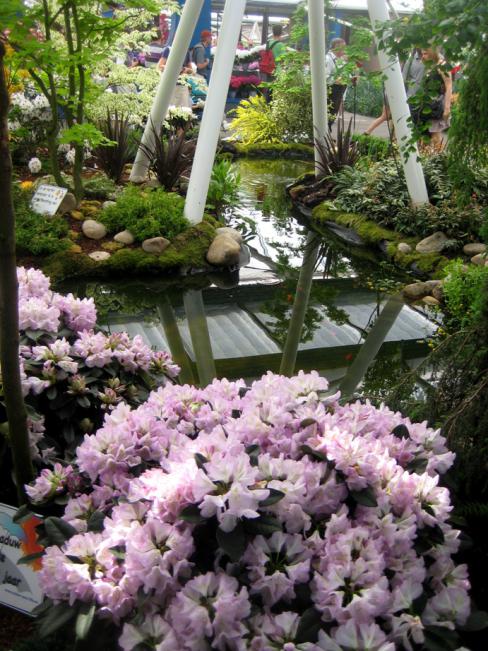 Name:  KEUKENKOF 195.jpg
Views: 7218
Size:  78.3 KB