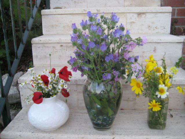 Name:  IMG_6040.jpg
Views: 805
Size:  50.9 KB