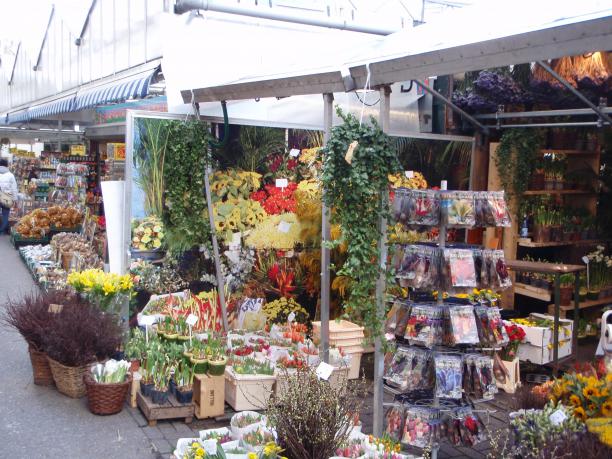 Name:  20080402064450!Amsterdam_Bloemenmarkt_4.jpg
Views: 659
Size:  71.5 KB