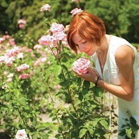 Name:  g1.jpg
Views: 5495
Size:  34.7 KB