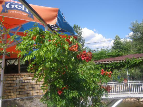Name:  lca 9.jpg
Views: 858
Size:  50.7 KB