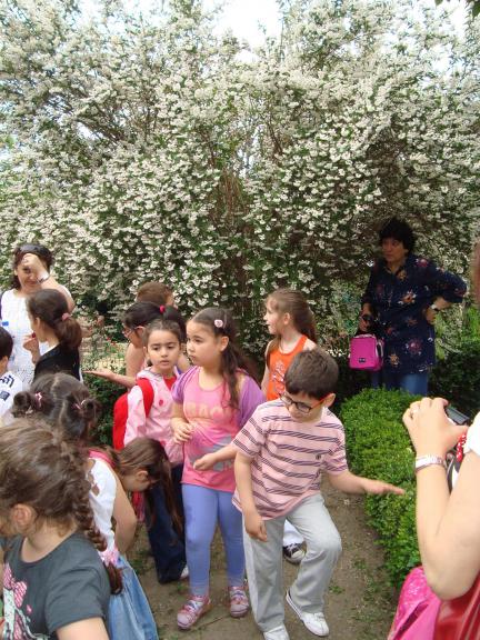 Name:  . Botanik bahesi 917.JPG.jpg
Views: 559
Size:  75.3 KB