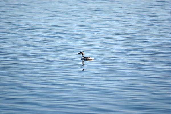 Name:  s4-1.jpg
Views: 1139
Size:  40.3 KB