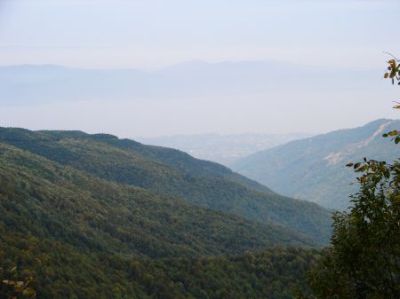 Name:  soucak9254.jpg
Views: 1599
Size:  25.0 KB