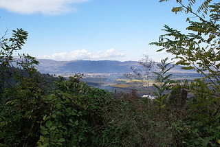 Name:  DSC08063-1.JPG
Views: 1088
Size:  41.4 KB