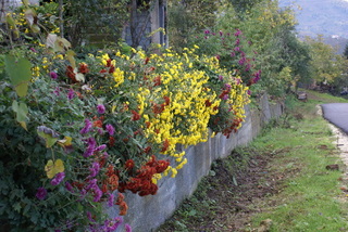 Name:  DSC08066-1.JPG
Views: 1123
Size:  50.2 KB