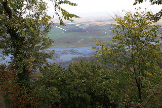 Name:  DSC08069-1.JPG
Views: 1083
Size:  50.6 KB