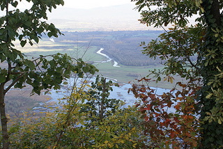 Name:  DSC08072-1.JPG
Views: 1057
Size:  54.0 KB