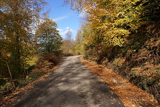 Name:  DSC08085-1.JPG
Views: 1147
Size:  56.0 KB