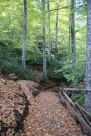 Name:  DSC08091-3.JPG
Views: 1032
Size:  67.8 KB