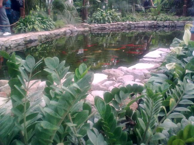 Name:  2011.09.18 Sasal Doal Yaam Park (182).jpg
Views: 2268
Size:  61.3 KB