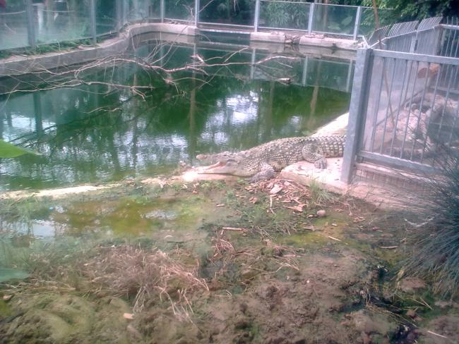 Name:  2011.09.18 Sasal Doal Yaam Park (177).jpg
Views: 1124
Size:  65.4 KB