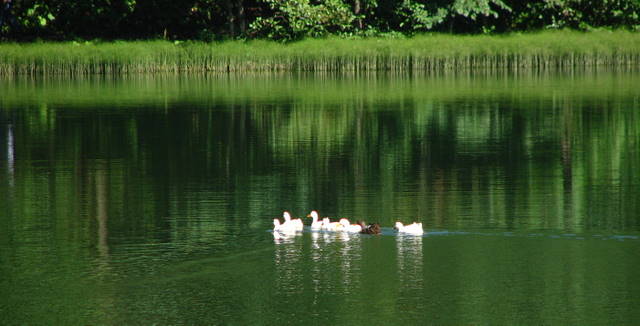 Name:  IMG_4025.JPG
Views: 1530
Size:  38.0 KB