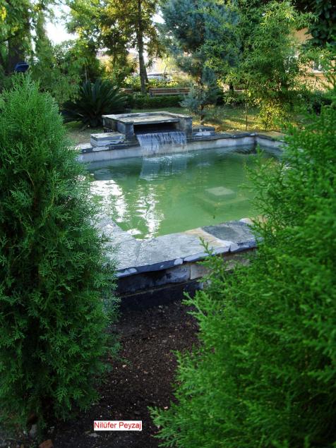 Name:  . Botanik bahesi 1010.jpg
Views: 938
Size:  73.7 KB