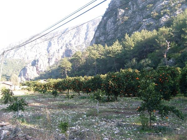 Name:  sahibinden_olimpos 037.jpg
Views: 1360
Size:  78.3 KB
