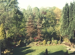 Name:  Back view garden 1982_2.jpg
Views: 2198
Size:  42.3 KB