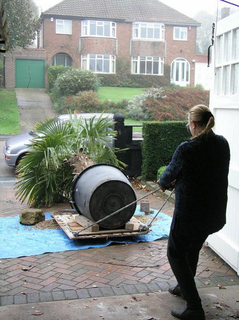 Name:  2962929934_605ff597e8_z.jpg
Views: 1109
Size:  63.5 KB
