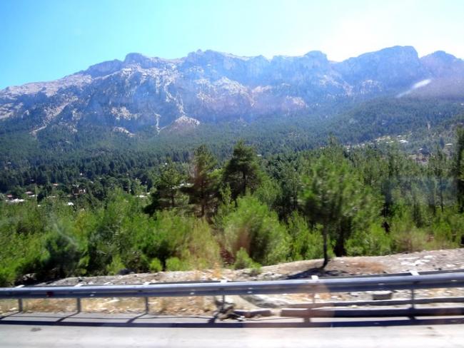 Name:  yool.jpg
Views: 2455
Size:  54.0 KB