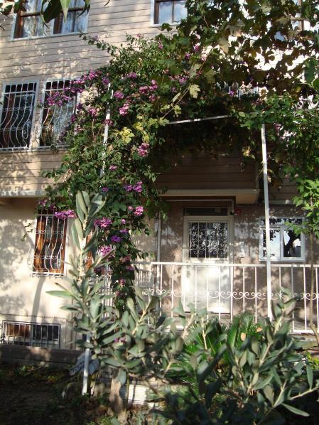 Name:  . Botanik bahesi 1081.jpg
Views: 1799
Size:  77.6 KB