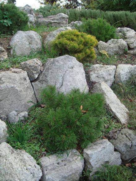 Name:  . Botanik bahesi 1090.jpg
Views: 1617
Size:  70.2 KB