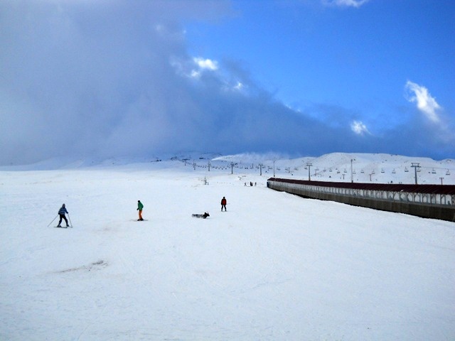 Name:  DSCN3390.JPG
Views: 1213
Size:  65.8 KB