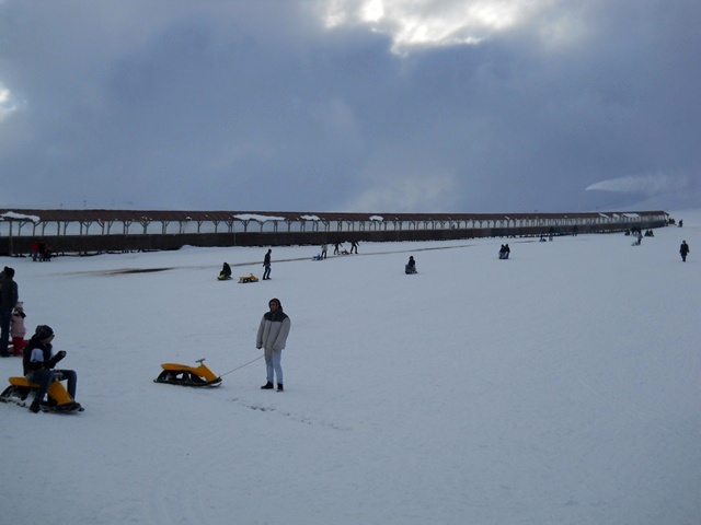 Name:  DSCN3394.JPG
Views: 1312
Size:  62.3 KB