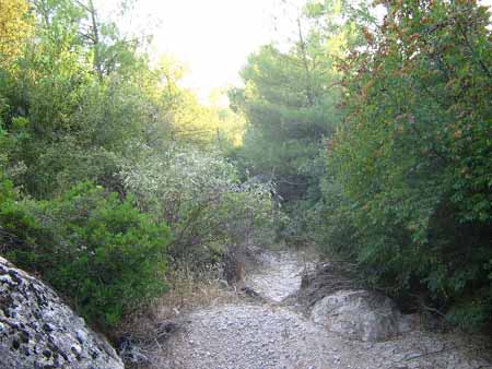 Name:  img02591vx1.jpg
Views: 3536
Size:  45.6 KB