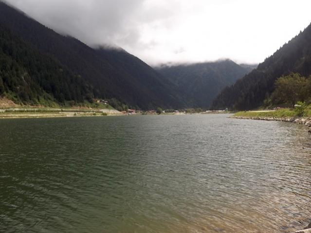Name:  ali 285.jpg
Views: 845
Size:  38.8 KB