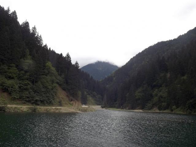 Name:  ali 335.jpg
Views: 343
Size:  35.1 KB