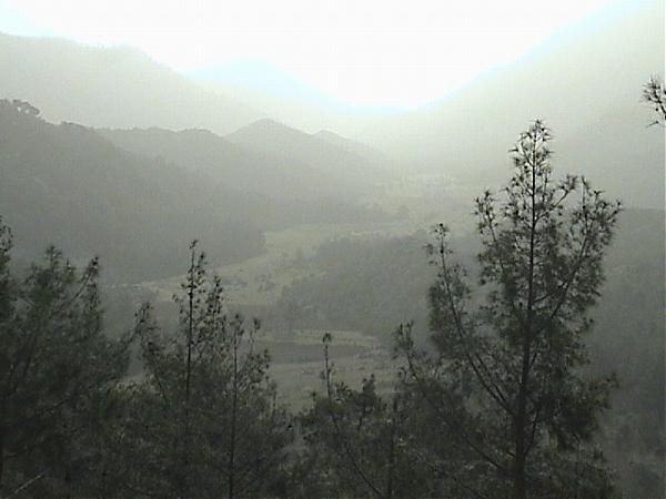 Name:  kurucan yaylas2.jpg
Views: 1891
Size:  30.7 KB