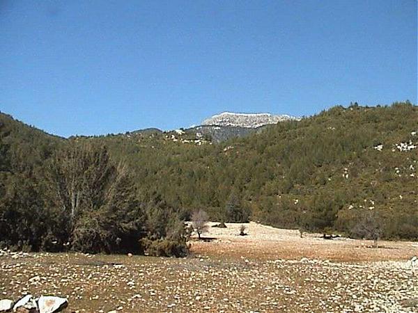Name:  ahlatlbucak.jpg
Views: 1823
Size:  57.9 KB
