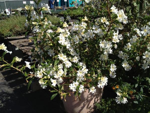 Name:  2013-05-04 16.13.23.jpg
Views: 945
Size:  72.2 KB