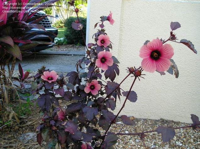 Name:  37a39b.jpg
Views: 1184
Size:  70.5 KB