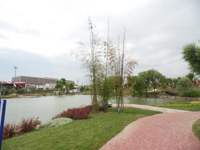 Name:  025-025.jpg
Views: 1431
Size:  40.0 KB