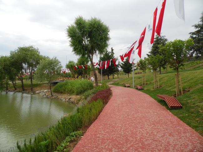 Name:  037-037.jpg
Views: 1465
Size:  52.1 KB