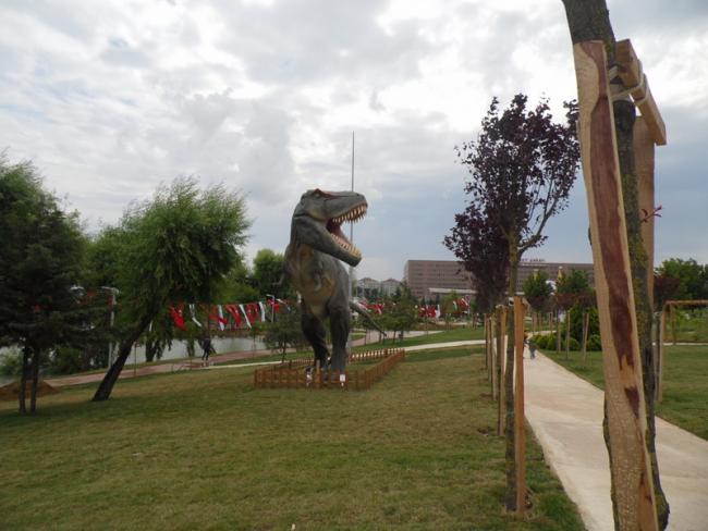 Name:  050-050.jpg
Views: 1640
Size:  44.5 KB