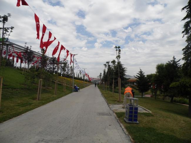 Name:  051-051.jpg
Views: 1554
Size:  42.7 KB