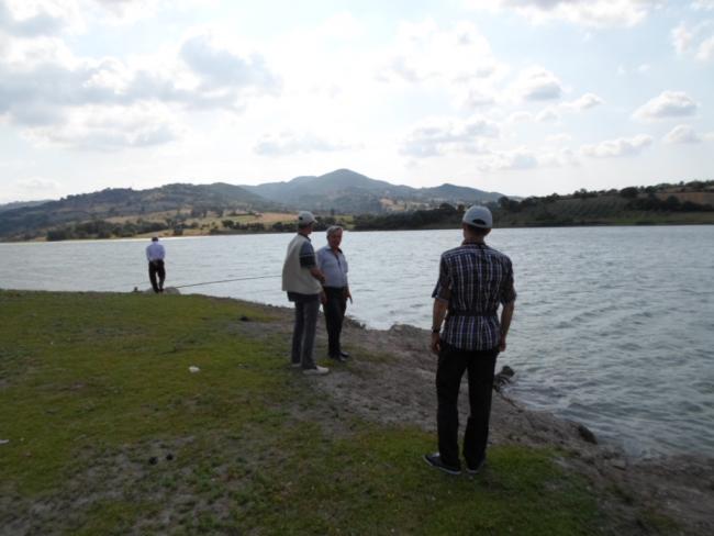 Name:  SAM_0110.jpg
Views: 4918
Size:  35.4 KB