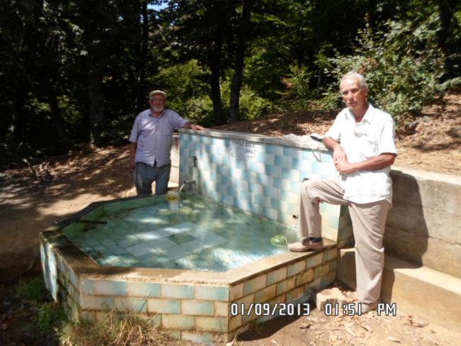 Name:  SAM_0251.jpg
Views: 2624
Size:  60.0 KB