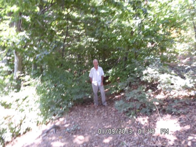 Name:  SAM_0250.jpg
Views: 2600
Size:  69.8 KB
