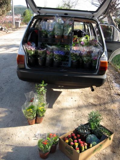 Name:  IMG_6374.jpg
Views: 6582
Size:  44.3 KB