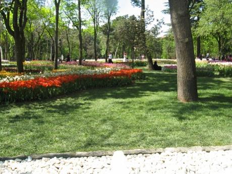Name:  033.jpg
Views: 1268
Size:  43.2 KB