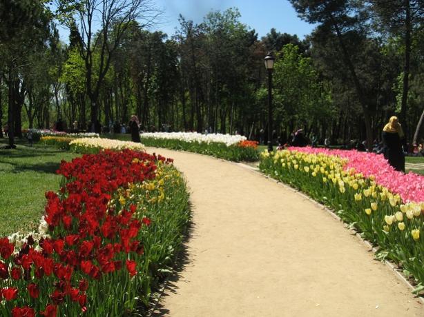 Name:  036.jpg
Views: 1051
Size:  62.9 KB